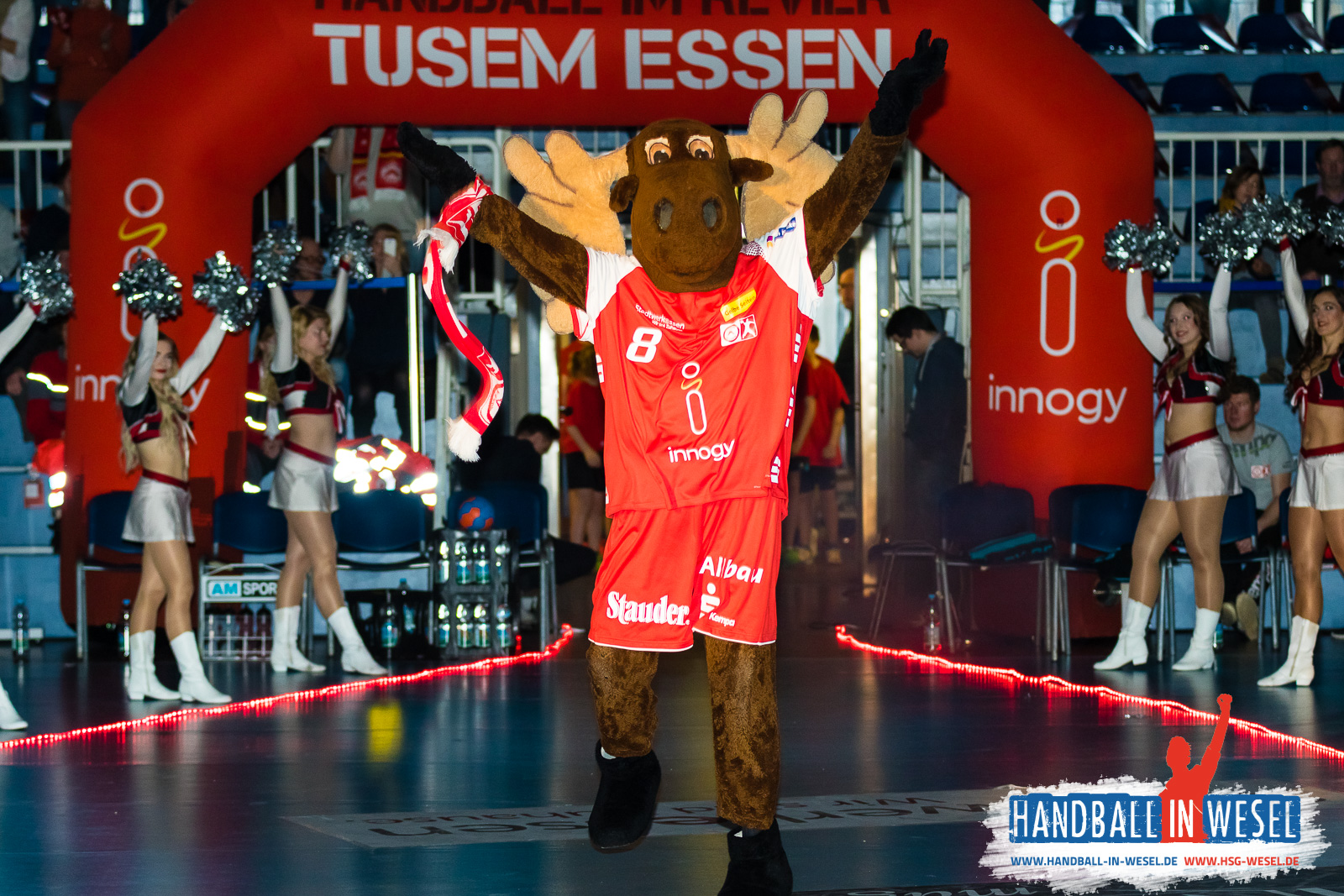 HSG Wesel E-Jugend / Einlaufkids TUSEM Essen 2017